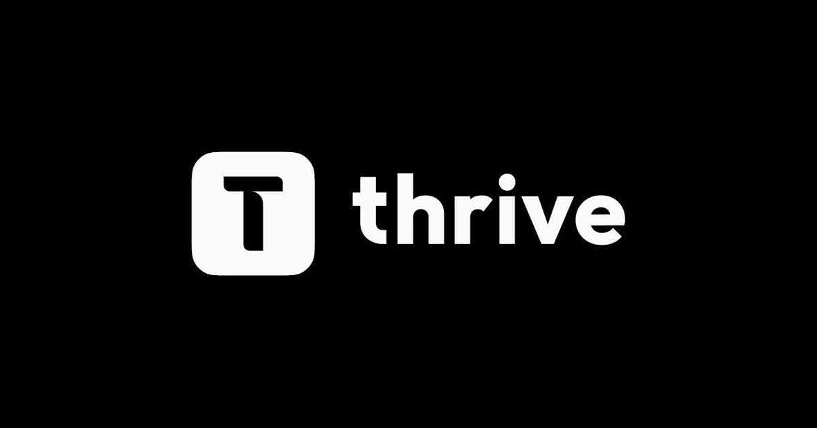Alternatives to Thive ai learning