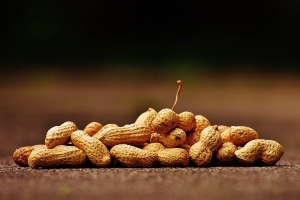 If you're running a food business in the UK, you have a legal obligation to identify and manage allergens in your products. Our online UK allergens awareness course is designed to help businesses comply with these regulations and ensure the safety of their customers with allergies. Our online course is accessible from anywhere, at any time, making it a convenient option for busy business owners and staff members. By completing our course, you'll become certified in allergen awareness which demonstrates to customers and authorities that you take food safety seriously. Some of the key topics covered in our course include the 14 allergens recognised by UK law, common allergen-containing foods, allergen management in the workplace, and legal requirements for allergen labelling. We also offer additional resources, such as a comprehensive allergen checklist and downloadable reference guides. Enrol in our online UK allergens awareness course today and ensure your business is compliant with allergen regulations, keeping your customers safe and your business reputation intact.